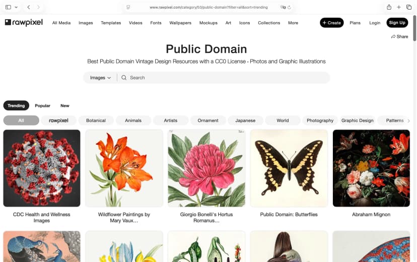 Rawpixel – Public Domain