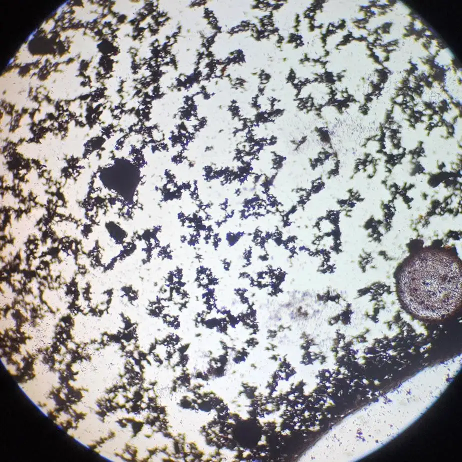 Łączenie się drobno zmielonego czarnego pigmentu zawieszonego w wodzie pod mikroskopem.